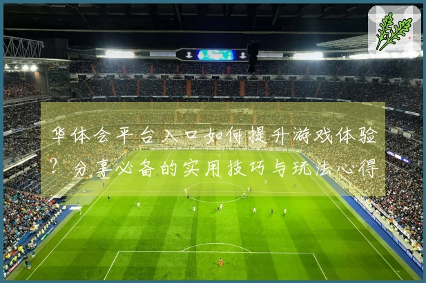 华体会平台入口如何提升游戏体验？分享必备的实用技巧与玩法心得