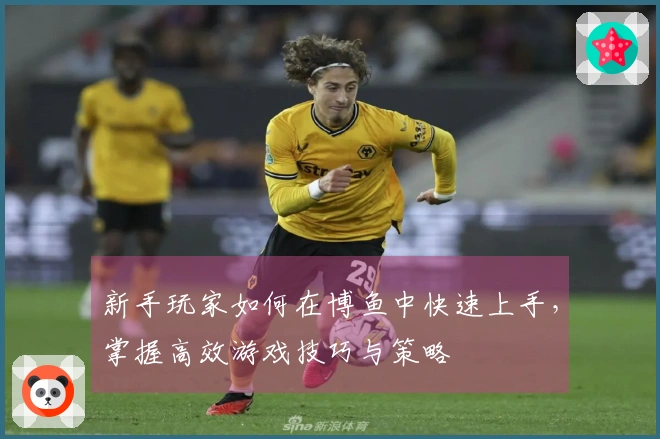 新手玩家如何在博鱼中快速上手，掌握高效游戏技巧与策略